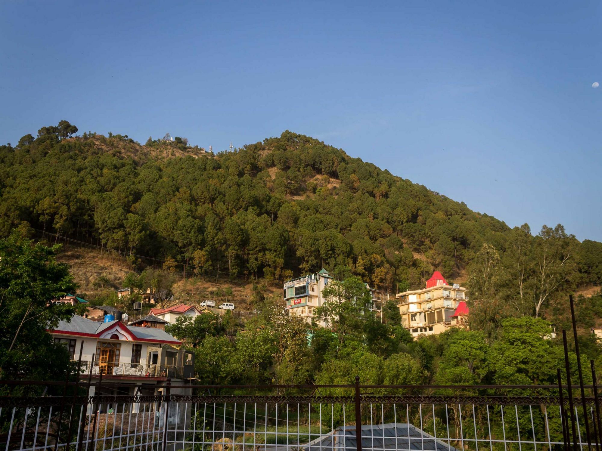 Oyo Home 13409 Cozy Stay Dharamshala Eksteriør billede
